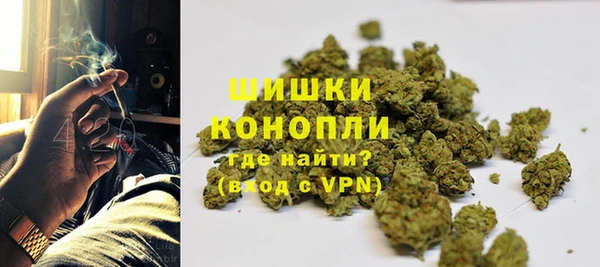 гидропоника Вяземский